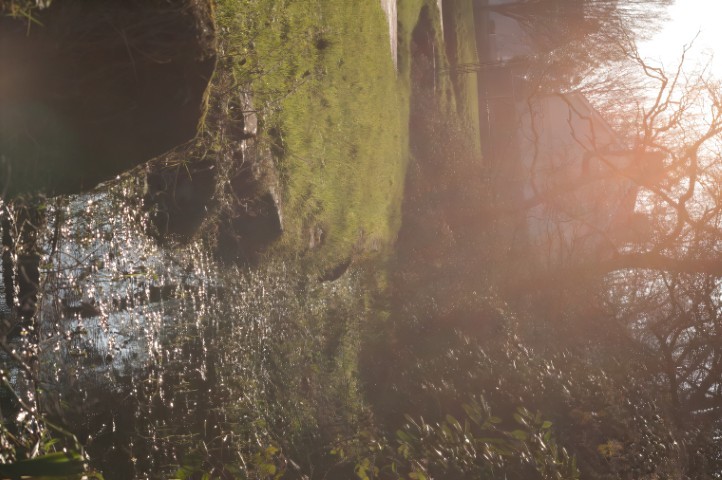 brook in park